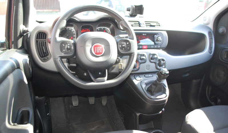 Fiat Panda 1.0 firefly hybrid 69CV City Cross S&S USB Uf Italy pieno