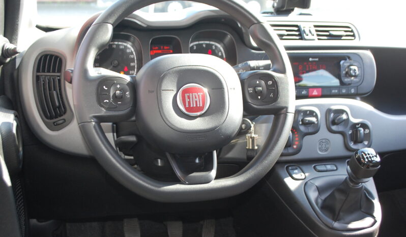 Fiat Panda 1.0 firefly hybrid 69CV City Cross S&S USB Uf Italy pieno