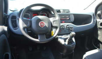 Fiat Panda 1.0 firefly hybrid 70CV S&S Uff Italy Clima City pieno