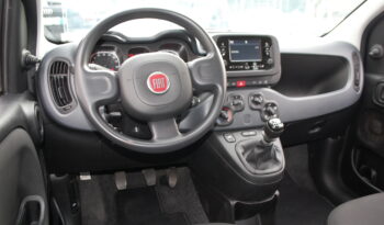 Fiat Panda 1.0 firefly 70CV hybrid City Life S&S Uff Italy pieno