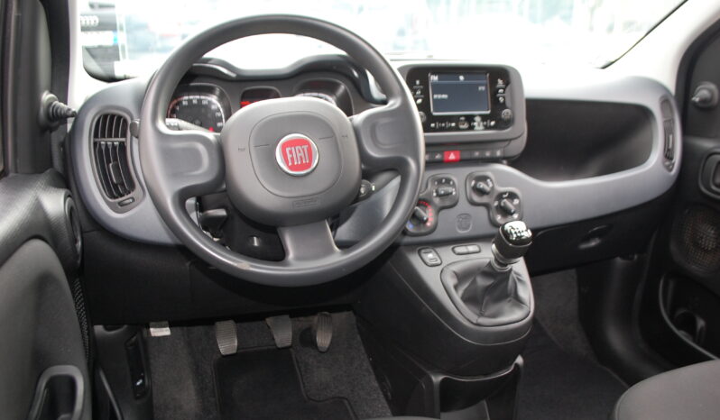 Fiat Panda 1.0 firefly 70CV hybrid City Life S&S Uff Italy pieno