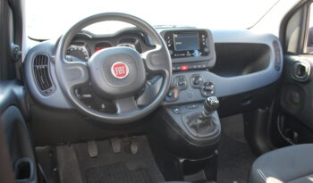 Fiat Panda 1.0 firefly hybrid 70CV City Life S&S Uff Italy pieno