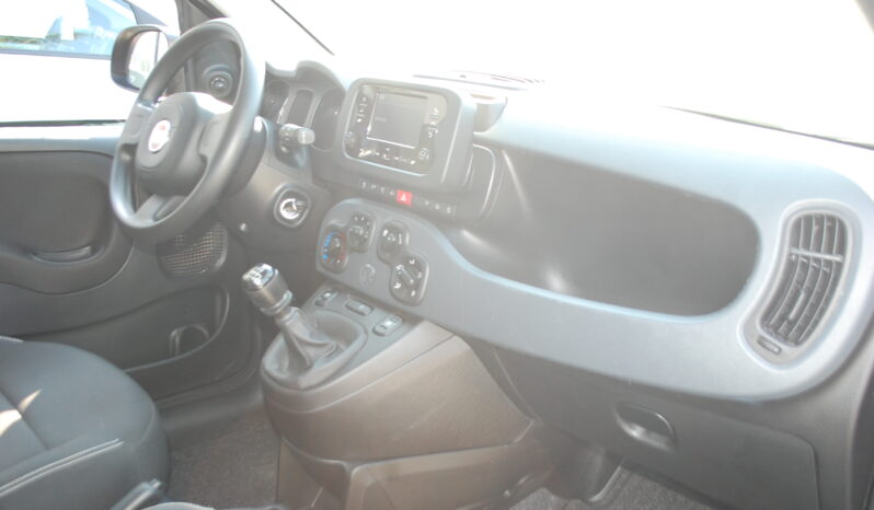 Fiat Panda 1.0 firefly hybrid 70CV City Life S&S Uff Italy pieno