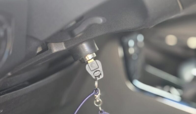 Ford EcoSport 1.0 ecoboost 125CV Active S&S Uff Italy Pelle USB pieno