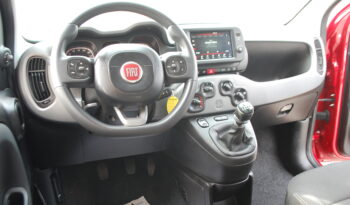 Fiat Panda 1.0 firefly hybrid 70CV S&S City Cross Uff Italy pieno