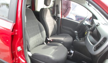 Fiat Panda 1.0 firefly hybrid 70CV S&S City Cross Uff Italy pieno