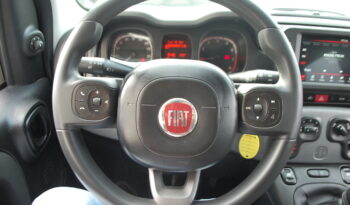 Fiat Panda 1.0 firefly hybrid 70CV S&S City Cross Uff Italy pieno