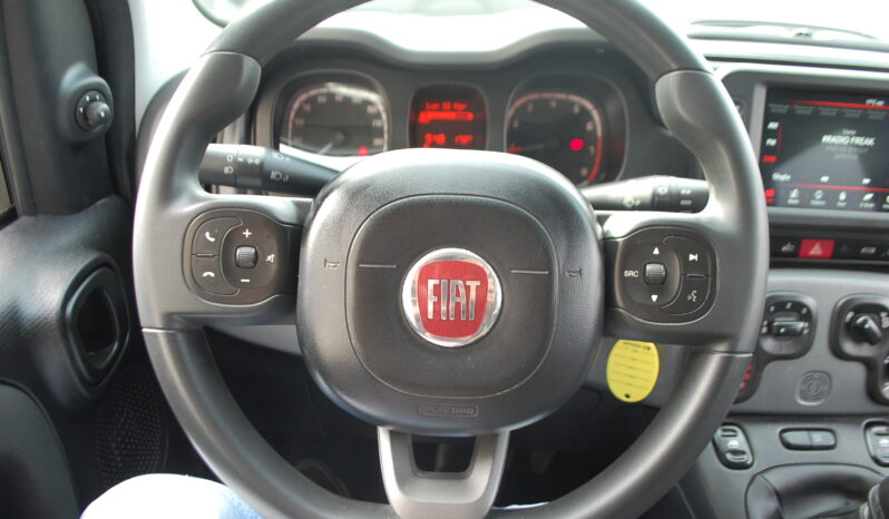Fiat Panda 1.0 firefly hybrid 70CV S&S City Cross Uff Italy pieno