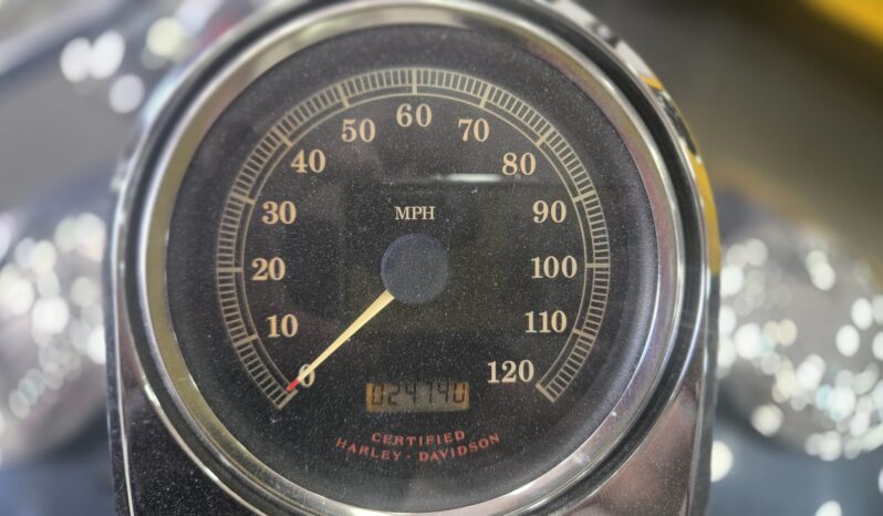 Harley-Davidson 1450 Heritage Softail FLSTS 100° pieno