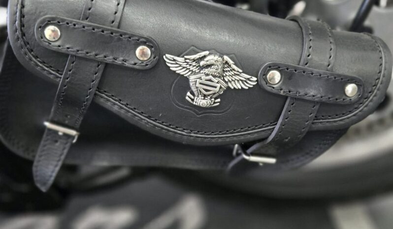 Harley-Davidson 1340 Softail FXSTC Personalizzata pieno