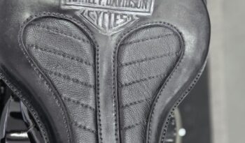 Harley-Davidson 1340 Softail FXSTC Personalizzata pieno