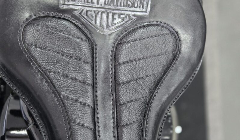 Harley-Davidson 1340 Softail FXSTC Personalizzata pieno