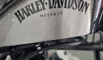 Harley-Davidson 1340 Softail FXSTC Personalizzata pieno
